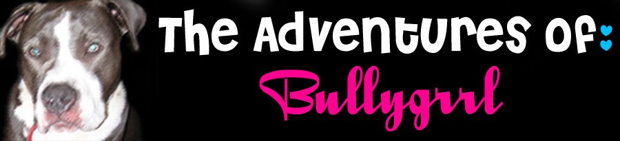 The Adventures of Bullygrrl