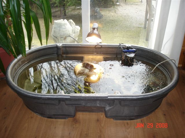 [DSC09665.JPG]