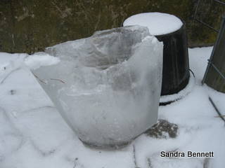 [IMG_0982.JPG]