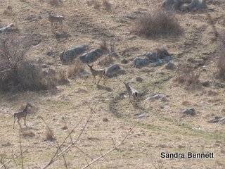 [IMG_9577.JPG]