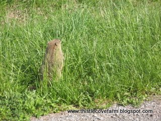 [IMG_0673.JPG]