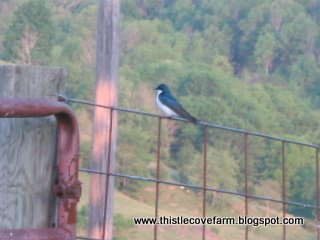[IMG_0717.JPG]