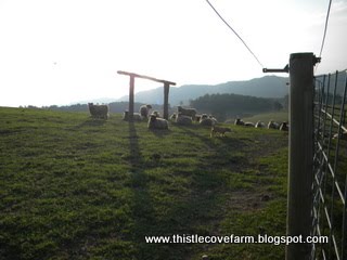 [DSCN0980.JPG]