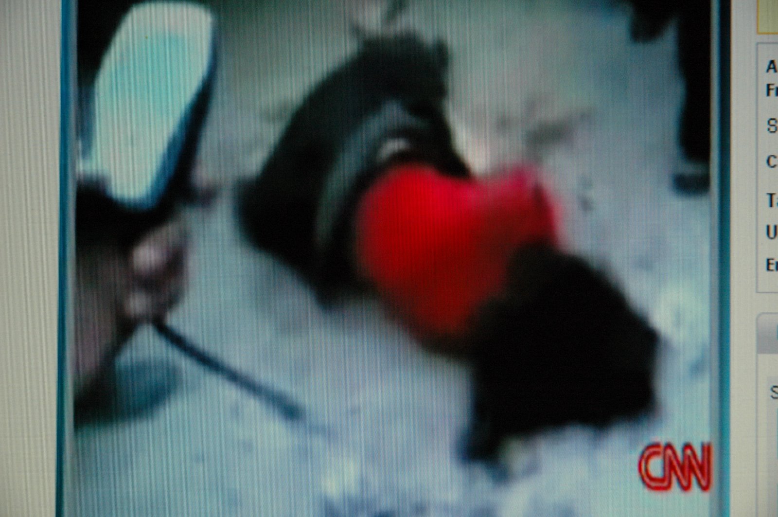 [Diferentes+fotogramas+de+la+lapidaciÃ³n+de+Du]