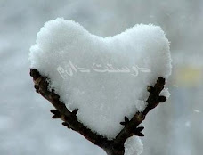 I love you all, even in the cold