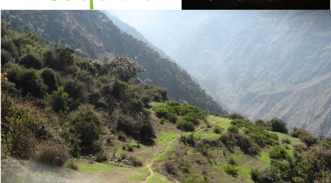Herido Salvemos el Bosque de Zárate