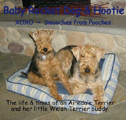 Baby Rocket Dog & Hootie