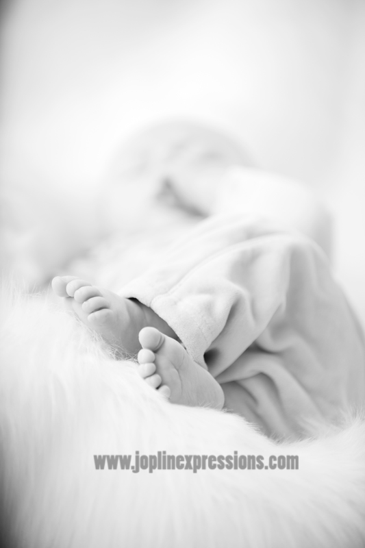 [0069+brn4mo+bw.jpg]