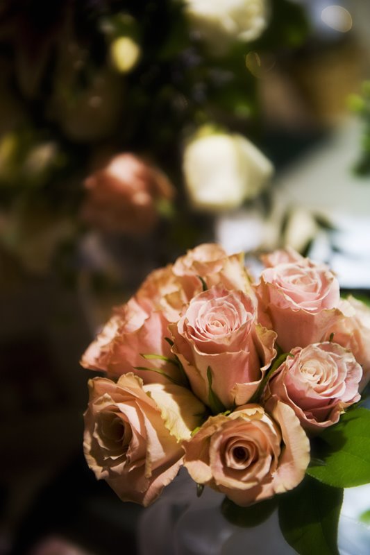 [bridal+fr+078blog.jpg]