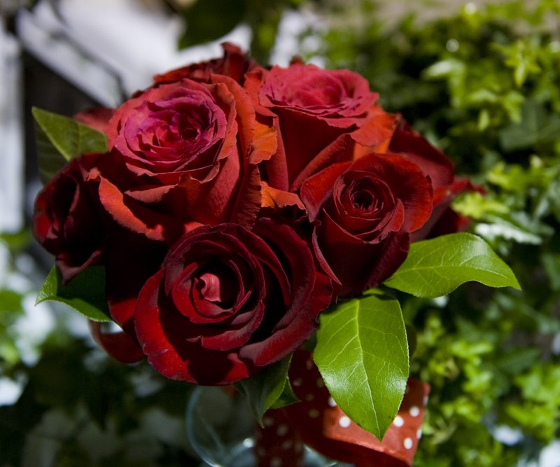 [bridal+fr+077cblog.jpg]