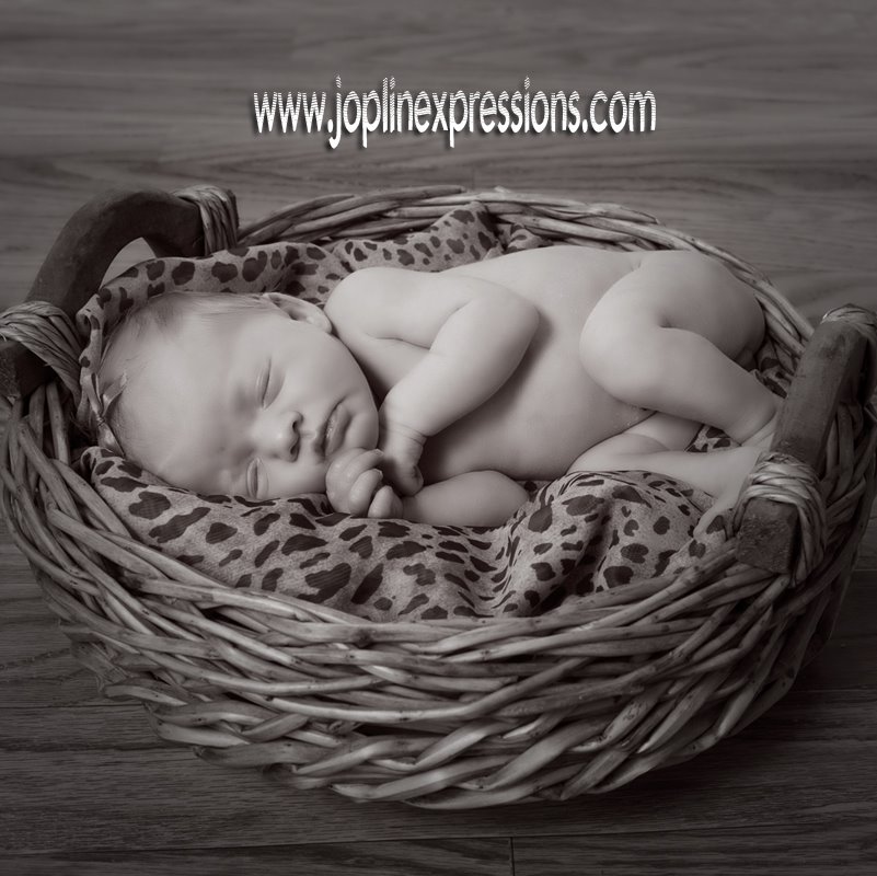 [0113+reichertch.jpg]