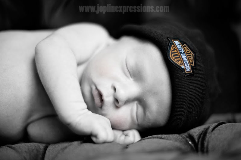 [0113+shdwkNB+hc.jpg]