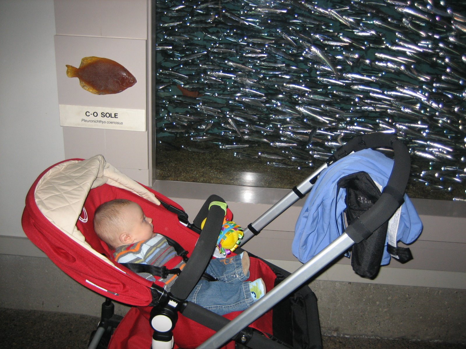 [IMG_0376.JPG]