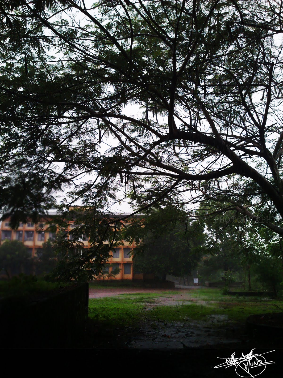Payyanur College