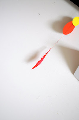 bird illustraion