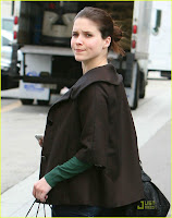 Sophia Bush Walks The Straight and Narrows