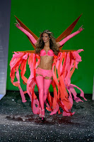 The Pictures From The Victoria’s Secret Fashion Show