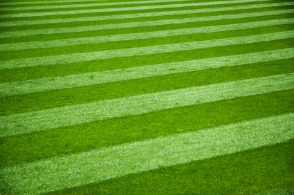 [metsgrass.JPG]