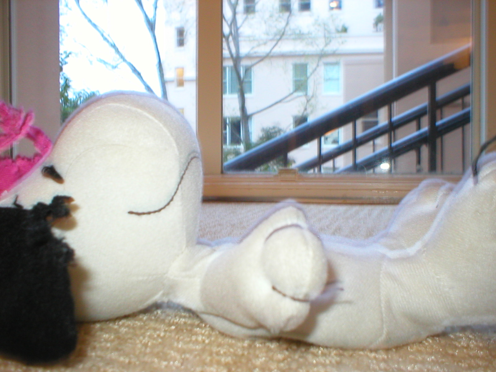 [Snoopy+Death.JPG]