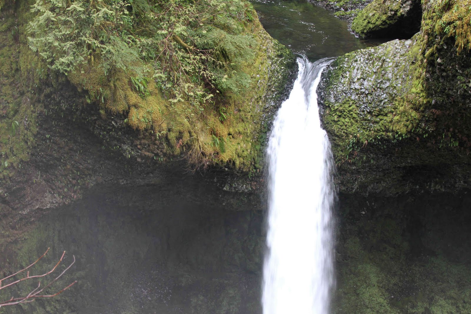 [IMG_0437+low+res.jpg]