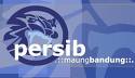 Persib