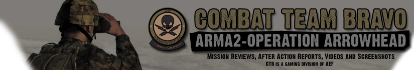 Combat Team Bravo - ArmA2:OA Blog