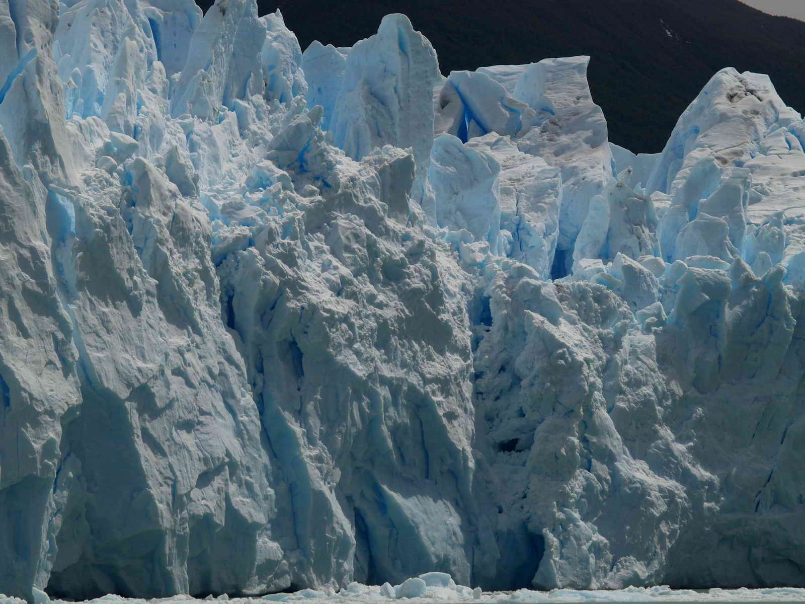 [ARGENTINA20071110_428.JPG]