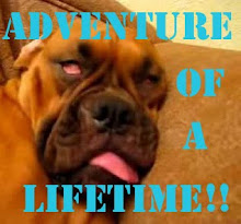 OLD STUFF I WROTE, SOME OF WHICH IS HORRIBLY EMBARRASSING. GO AHEAD, CLICK.