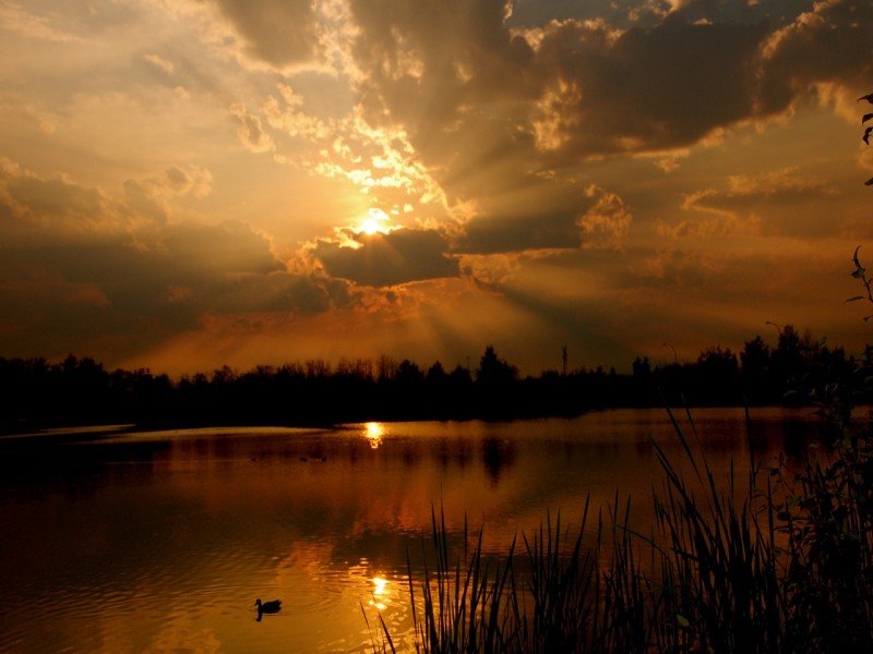 [CrepÃºsculo.bmp]
