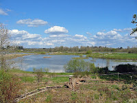 View from back deck of Jackson Bottom Education Center