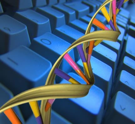 http://2.bp.blogspot.com/_3BVtwXFB6MM/TNyVzpZCpWI/AAAAAAAAABA/ID3Fp6V8A8o/s1600/dna-computer.jpg