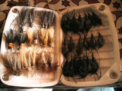 Salmonfly Hatch