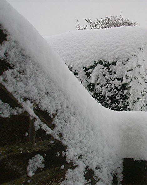 [2009+02+02+snow+4.jpg]