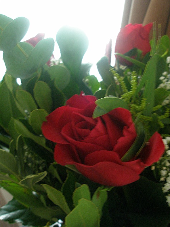 [2009+02+14+roses+7.jpg]