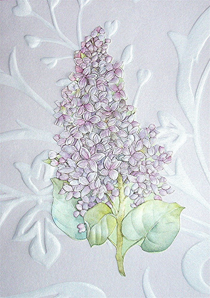 [2009+04+03+sympathy+2.jpg]