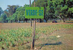 VERDE-SE