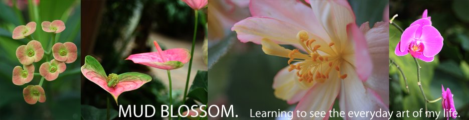 Mud Blossom