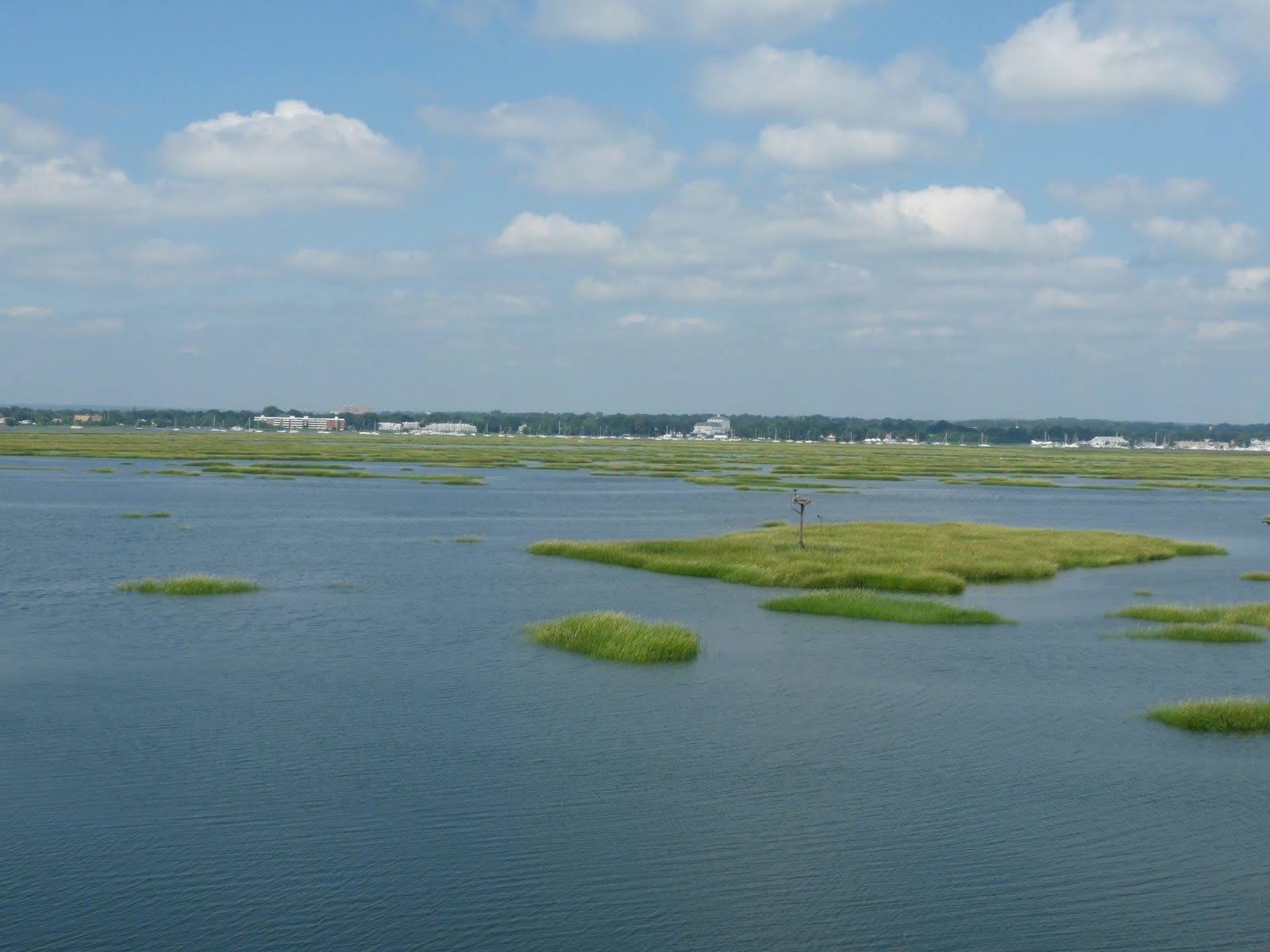 Connecticut Audubon Society Milford Point