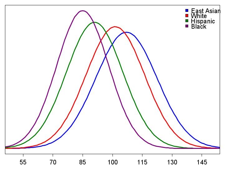 [graph+of+intelligence.bmp]