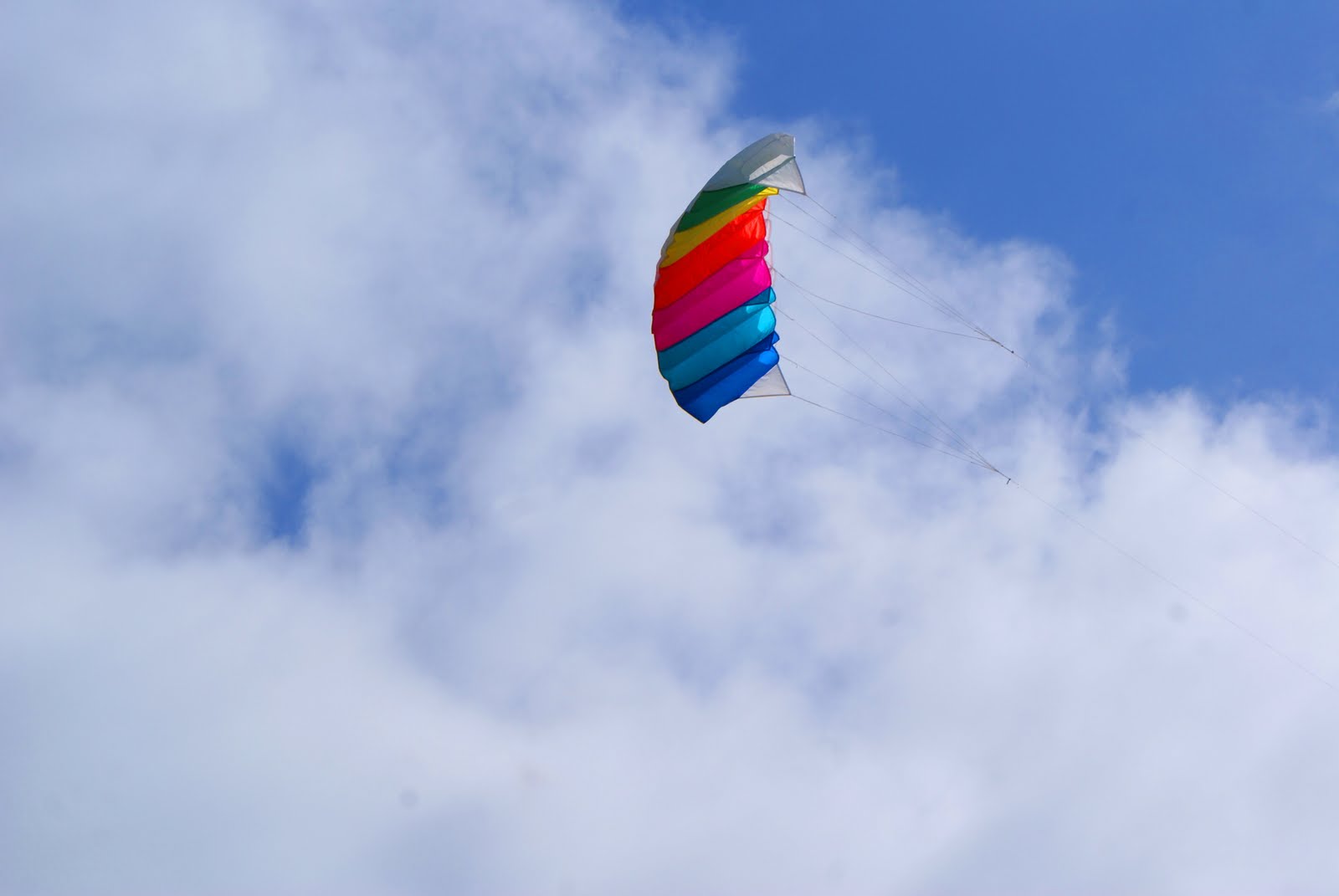 Only the summer days Some windy days are good for flying kites