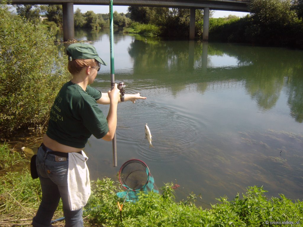 [ribisko_tekmovanje_2.jpg]