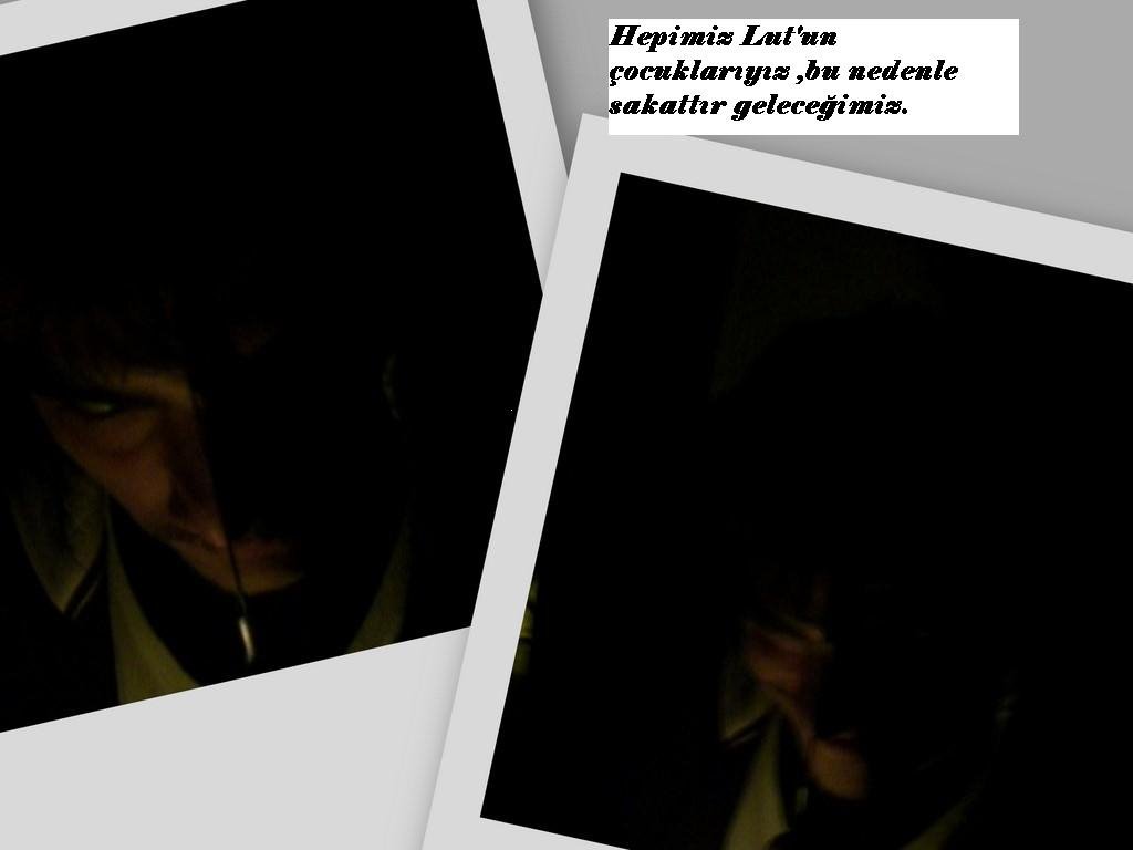 [collage8.bmp]