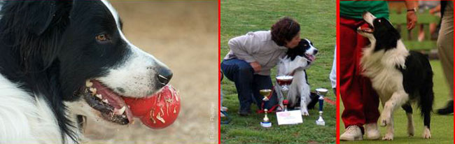 [miles-campeao-R.jpg]