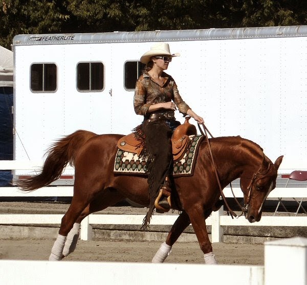 Blog and Pony Show Region 5 Arabian Horse Show (reining championship)