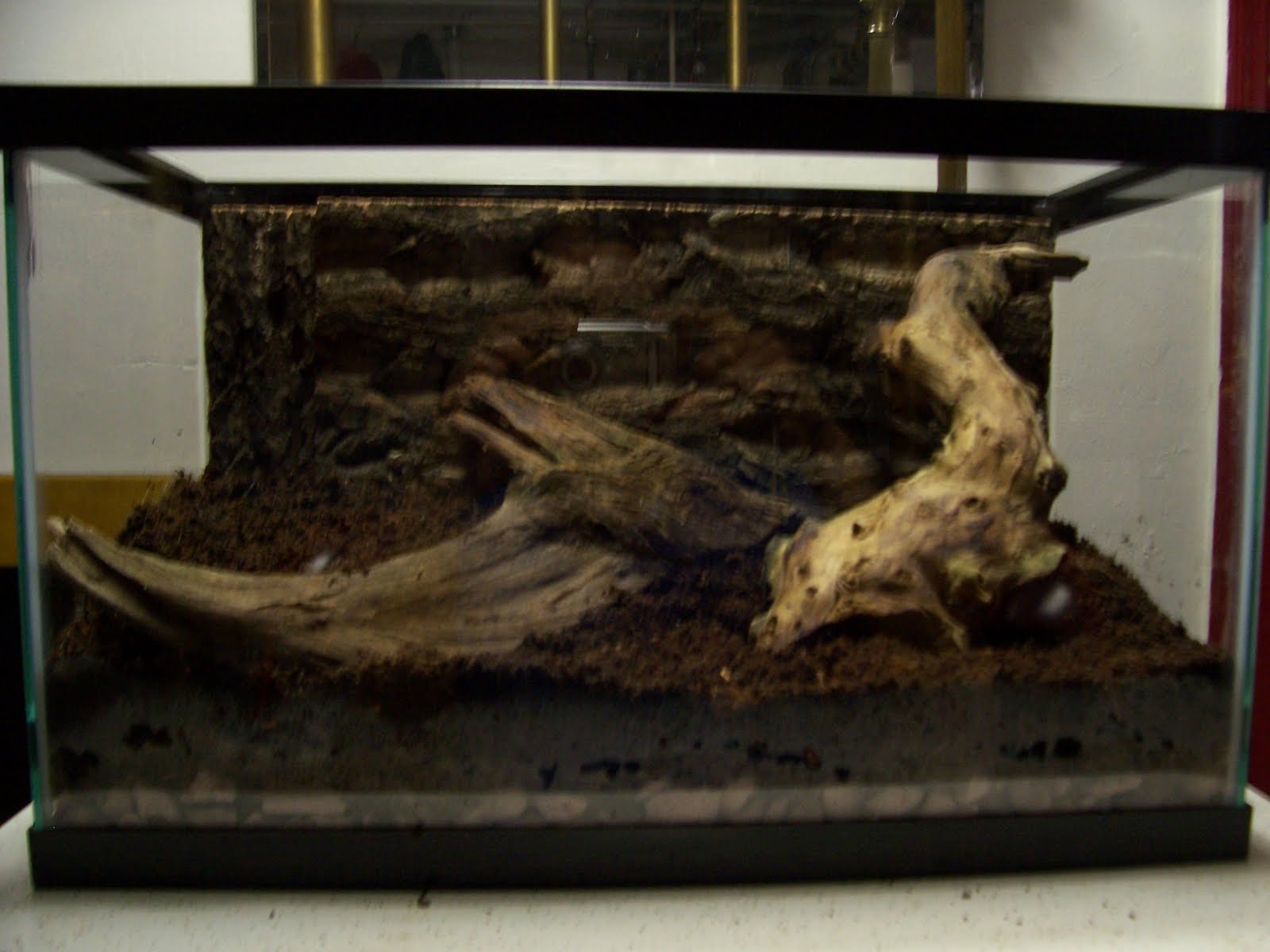 The Herper Reptile and Amphibian Care Vivarium Construction