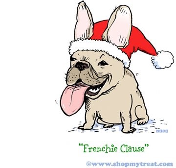 Christmas Greeting Cards: humorous christmas cards