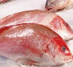 SNAPPER FISH