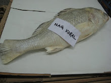 KORAL