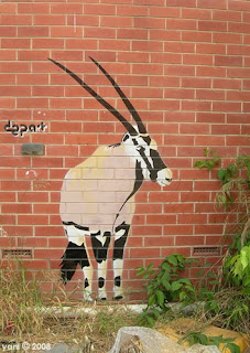 urban zoo urban zoo