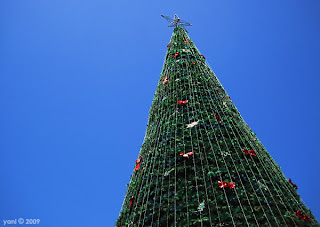 victoria square christmas tree victoria square christmas tree